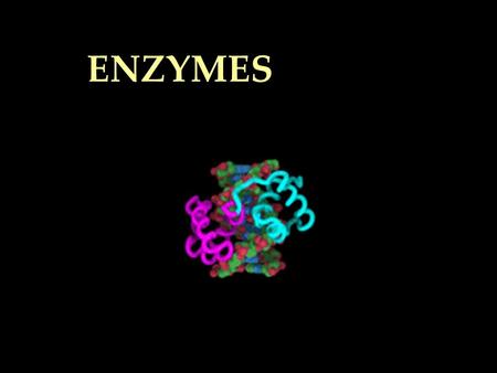 ENZYMES Definition of Enzymes: A A globular protein which functions as a CATALYST. EEEE nnnn zzzz yyyy mmmm eeee A A A A nnnn iiii mmmm aaaa tttt iiii.