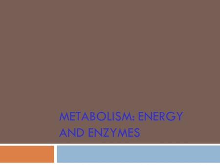 METABOLISM: ENERGY AND ENZYMES. Metabolism: Energy and enzymes  Types of Energy  Solar: ultimate source for living organisms  Kinetic: energy of motion.