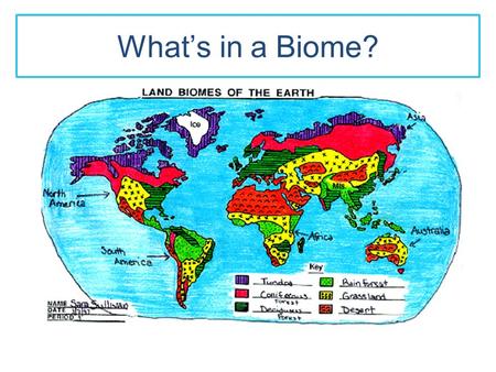 What’s in a Biome?. What is a Biome? A biome is a broad geographic area that has similar climate, vegetation, and types of animals. Biomes are named for.