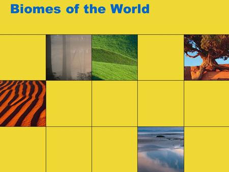 Biomes of the World. What is a biome? A BIOME is the largest geographic biotic unit, a major community of plants and animals with similar life forms and.