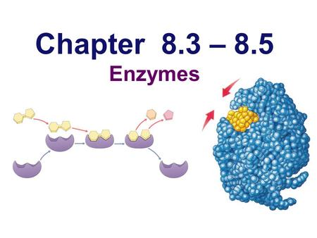 Chapter 8.3 – 8.5 Enzymes Spontaneous reactions?  If reactions are “downhill”, why don’t they just happen spontaneously?  because covalent bonds are.