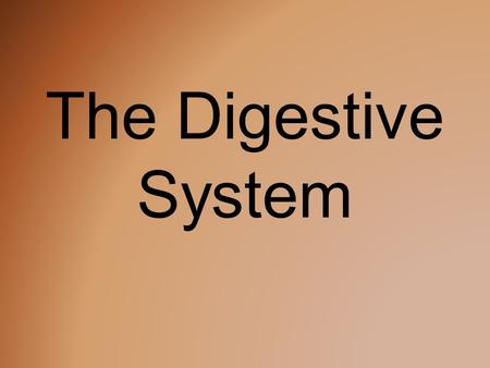 The Digestive System. What is the Function? The digestive system takes the food you eat, breaks it down, and turns it into energy you can use to fuel.