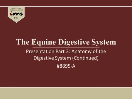 The Equine Digestive System Presentation Part 3: Anatomy of the Digestive System (Continued) #8895-A.