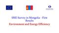 SME Survey in Mongolia - First Results Environment and Energy Efficiency.