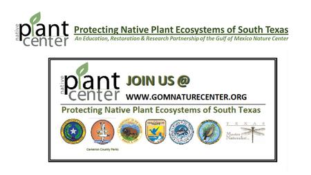 Protecting Native Plant Ecosystems of South Texas An Education, Restoration & Research Partnership of the Gulf of Mexico Nature Center.