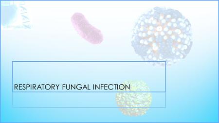 RESPIRATORY FUNGAL INFECTION. YEASTMOULD FUNGIDIMORPHIC FUNGI OpportunisticPrimary Infectious Candidiasis (Candida and other yeast) Aspergillosis (Aspergillus.