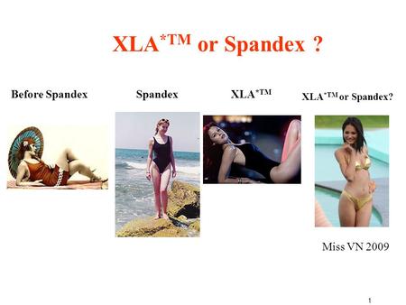 1 Miss VN 2009 Before SpandexXLA *TM XLA *TM or Spandex? Spandex XLA *TM or Spandex ?