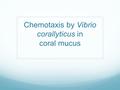 Chemotaxis by Vibrio corallyticus in coral mucus.