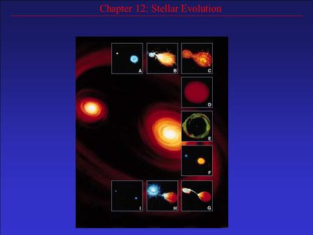 Chapter 12: Stellar Evolution. Most stars spend a majority of their lives (~90%) on the main sequence (about 10 billion years for our Sun) Virtually all.