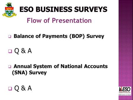 Flow of Presentation  Balance of Payments (BOP) Survey  Q & A  Annual System of National Accounts (SNA) Survey  Q & A.