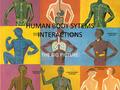 HUMAN BODY SYTEMS INTERACTIONS THE BIG PICTURE.