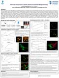 Discussion and Conclusions Proliferation of MSCs in 3D vs. 2D Culture Microgel cell carrier preparation Revital Goldshmid and Dror Seliktar Faculty of.