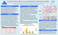 The Protective Effects of Aliskiren on Lung Histopathology after Triolein-Induced Fat Embolism Amanda Fletcher, 1,2 Alan Poisner, 1 Rakesh Ponnapureddy,