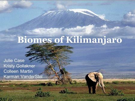 Biomes of Kilimanjaro Julie Case Kristy Gollakner Colleen Martin Karman VanderStel.