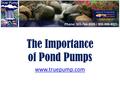 The Importance of Pond Pumps www.truepump.com. Pond pump is an essential part of any outdoor pond! It provides much needed circulation to keep water fresh,