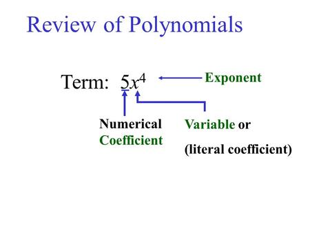 Review of Polynomials Term: 5x4 Exponent Numerical Coefficient