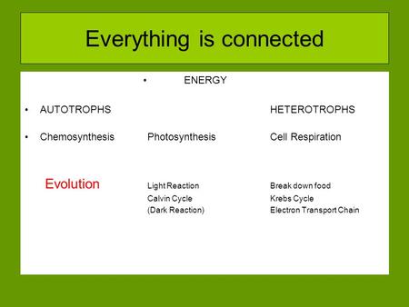 Everything is connected ENERGY AUTOTROPHSHETEROTROPHS ChemosynthesisPhotosynthesisCell Respiration Evolution Light ReactionBreak down food Calvin Cycle.