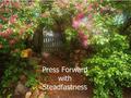 Press Forward with Steadfastness. 2 Ne 33:9 The path In the Book of Mormon, Nephi is the primary user of the word path. In its singular form, the word.