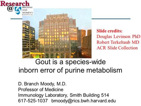 Gout is a species-wide inborn error of purine metabolism D. Branch Moody, M.D. Professor of Medicine Immunology Laboratory, Smith Building 514 617-525-1037.