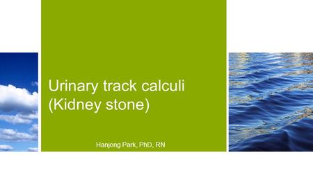 Urinary track calculi (Kidney stone) Hanjong Park, PhD, RN.