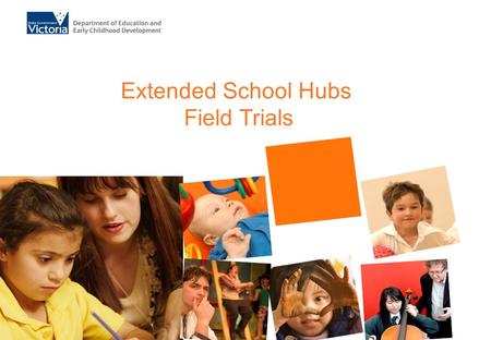 Extended School Hubs Field Trials. Number of partnerships by organisation type.