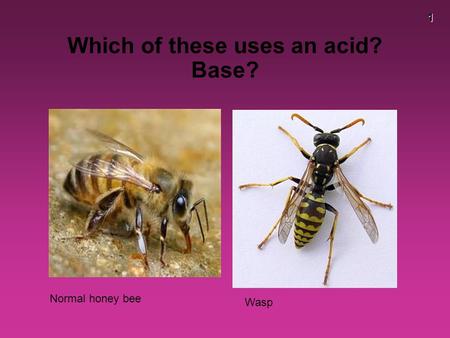 1 Which of these uses an acid? Base? Normal honey bee Wasp.