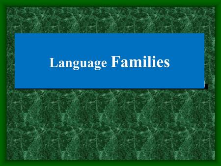 Language Families. Objectives Definition of language family Indo-European-languages Proto-Indo-European-languages.