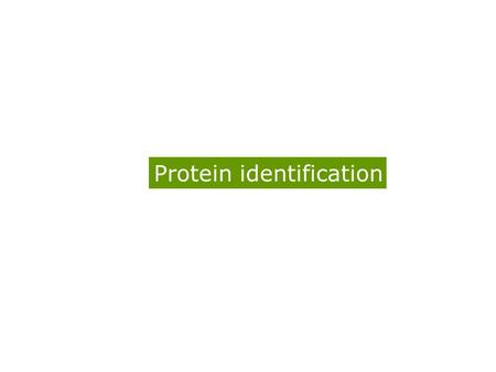 Protein identification. Peptide Mass Fingerprinting In situ digestion Peptide extraction MALDI-MS Putative Candidates Score 1. Larval serum protein 2.