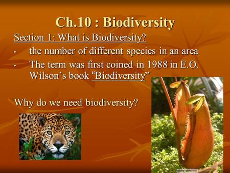 Ch.10 : Biodiversity Section 1: What is Biodiversity? the number of different species in an area the number of different species in an area The term was.