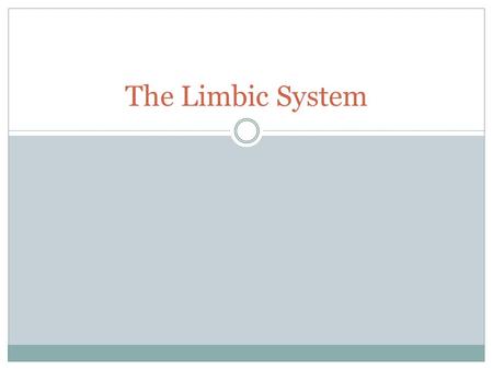 The Limbic System. Location of the limbic system central underside of the cerebrum it covers the inner sections of the temporal lobes and the bottom of.