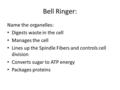 Bell Ringer: Name the organelles: Digests waste in the cell Manages the cell Lines up the Spindle Fibers and controls cell division Converts sugar to ATP.