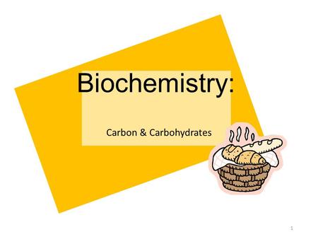 Carbon & Carbohydrates