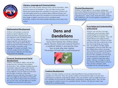 Dens and Dandelions This project has a forest skills and science focus which teaches the children about plants, flowers, trees and creatures found in a.