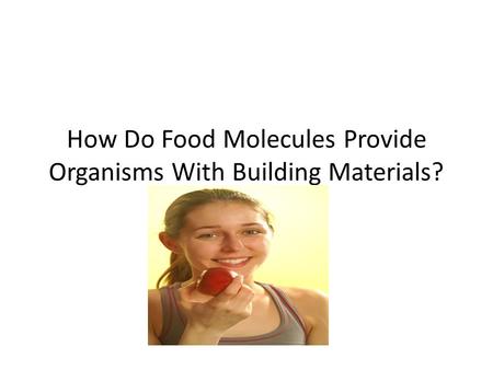 How Do Food Molecules Provide Organisms With Building Materials?