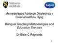 1 Methodolegau Addysgu Dwyieithog a Damcaniaethau Dysg Bilingual Teaching Methodologies and Education Theories Dr Elsie C Reynolds.