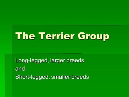 The Terrier Group Long-legged, larger breeds and Short-legged, smaller breeds.