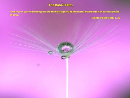 The Baha’i Faith Ponder ye in your hearts the grace and the blessings of God and render thanks unto Him at eventide and at dawn. Tablets of Bahá'u'lláh,