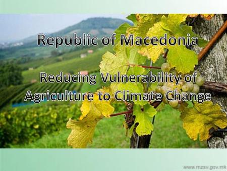 S. The importance of the Agriculture Sector  Agriculture plays an important role in the Macedonian economy and has a share of 18 percent in total employment.