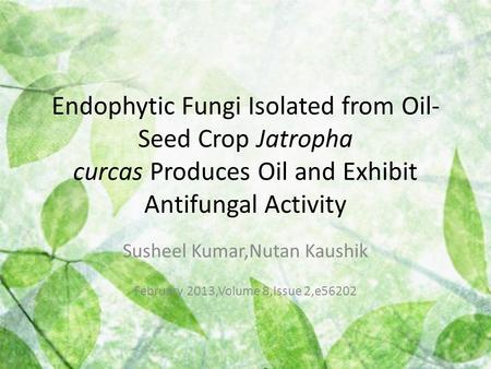 Endophytic Fungi Isolated from Oil- Seed Crop Jatropha curcas Produces Oil and Exhibit Antifungal Activity Susheel Kumar,Nutan Kaushik February 2013,Volume.