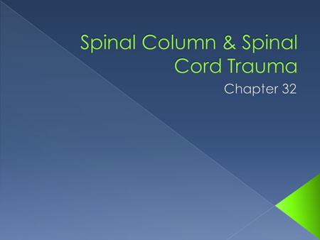  Spinal cord carries nerve impulses from brain to body & back  Single injury can affect many organs & body functions.