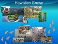 Hawaiian Grown. Damien K. Cie Farber 1997 Ancient Hawaiian Fishponds Integrated aquaculture system Polyculture University of Hawaii at Manoa.