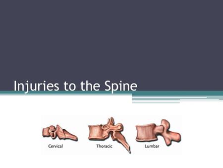 Injuries to the Spine.