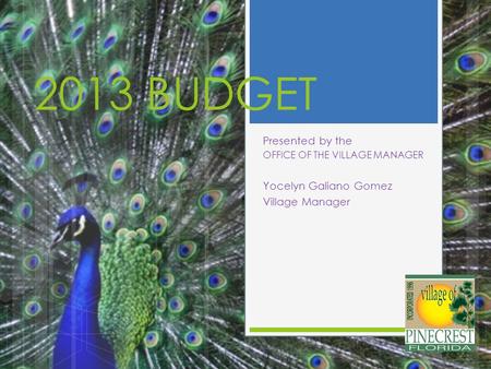 2013 BUDGET Presented by the OFFICE OF THE VILLAGE MANAGER Yocelyn Galiano Gomez Village Manager.