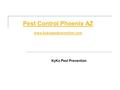 Pest Control Phoenix AZ www.kykopestprevention.com KyKo Pest Prevention.