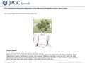 Date of download: 5/27/2016 Copyright © The American College of Cardiology. All rights reserved. From: Endothelium-Dependent Regulation of the Mechanical.