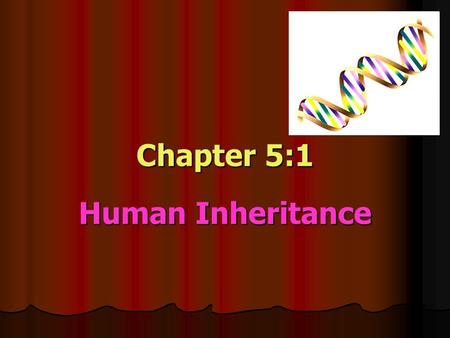 Chapter 5:1 Human Inheritance. Different traits are determined by a variety of inheritance patterns Single Genes with two alleles Single Genes with two.