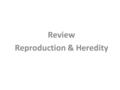 Review Reproduction & Heredity. Match the following terms to the correct definition 1.Heredity 2.Chromosomes 3.Nucleus 4.Genes a.The part of a cell that.