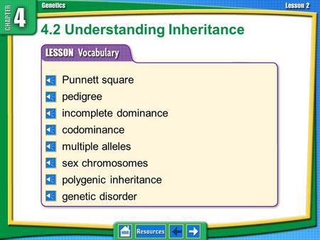 Punnett square pedigree incomplete dominance codominance multiple alleles sex chromosomes polygenic inheritance genetic disorder 4.2 Understanding Inheritance.