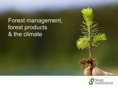 Forest management, forest products & the climate.