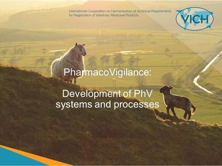 PharmacoVigilance: Development of PhV systems and processes.